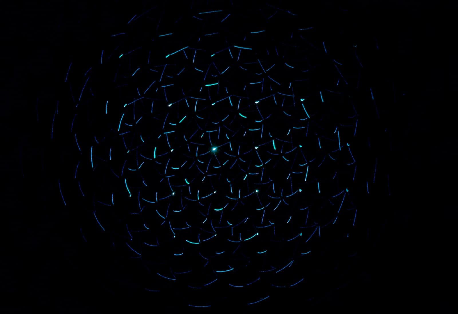 Deploying an AWS Lambda Function Using Terraform: A Step-by-Step Guide